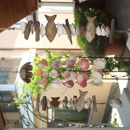 Yanita Guest house Varna